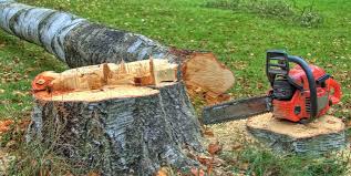 Best Commercial Tree Services  in Ohkay Owingeh, NM